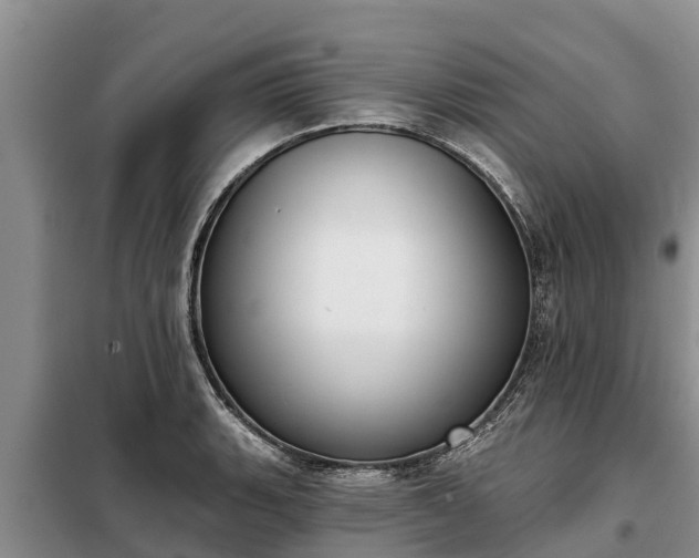 X0000099301135200805090948