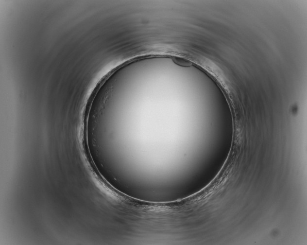 X0000099301136200805090948