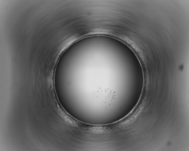 X0000099301137200805090948