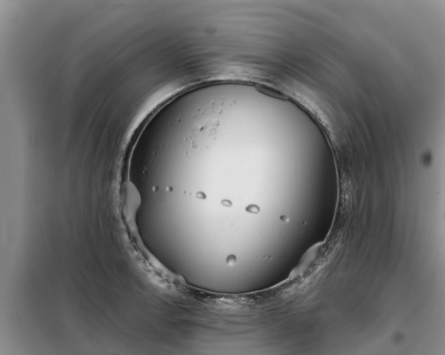 X0000099301138200805090948