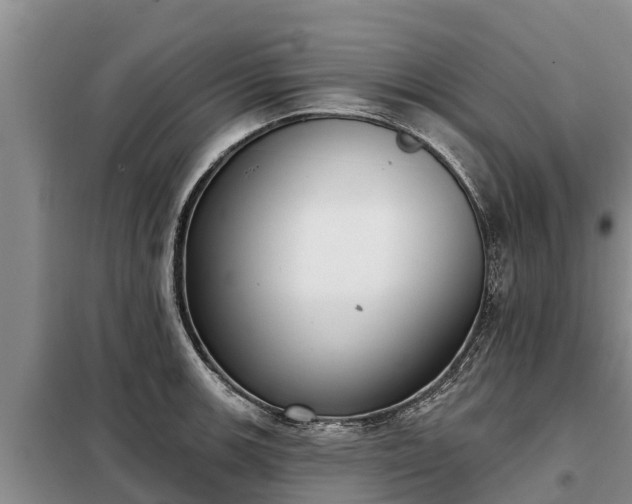 X0000099301139200805090948