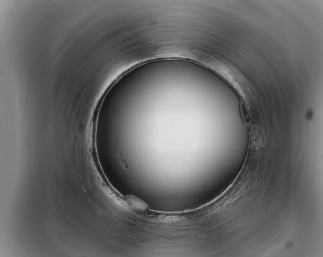 X0000099301140200805090948