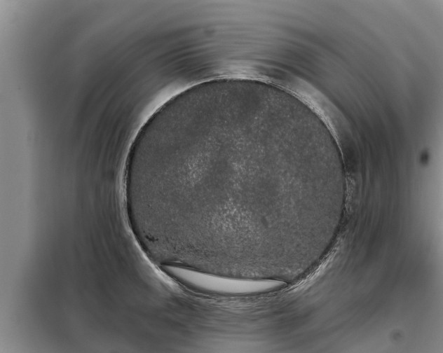 X0000099301141200805090948