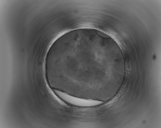 X0000099301142200805090948