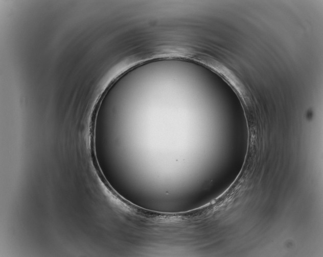 X0000099301143200805090948