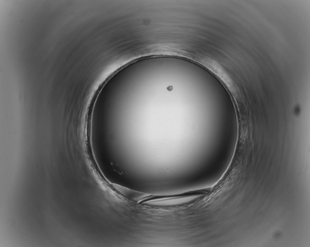 X0000099301144200805090948