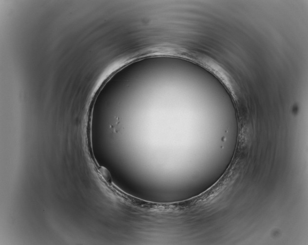 X0000099301146200805090948