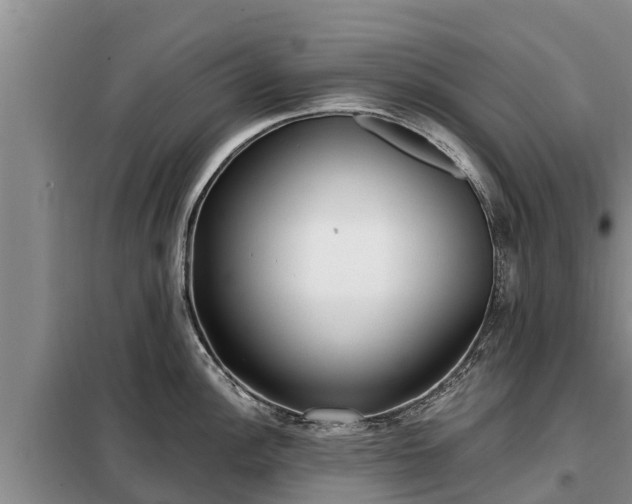 X0000099301148200805090948