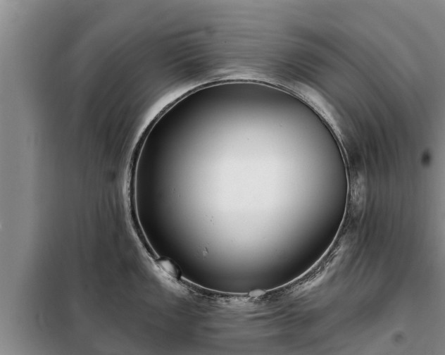 X0000099301149200805090948