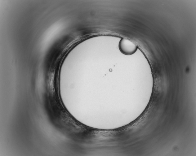 X0000099301150200805090948