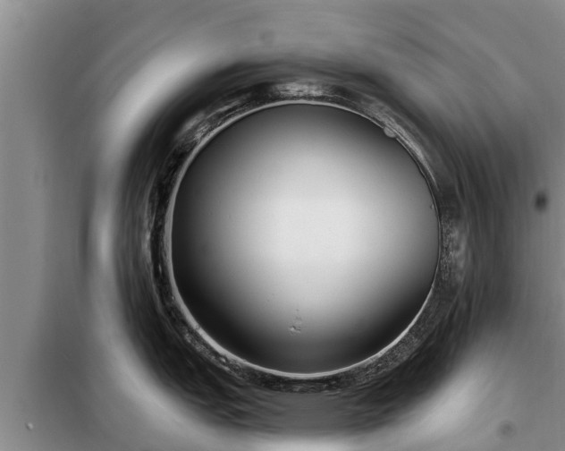 X0000099301151200805090948