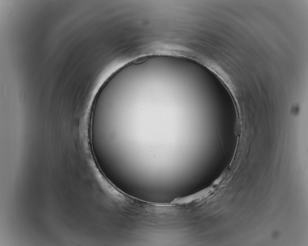 X0000099301152200805090948