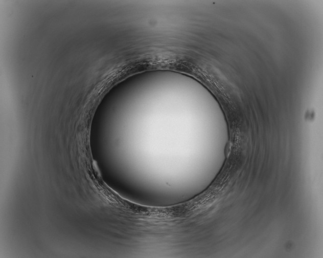 X0000099301153200805090947