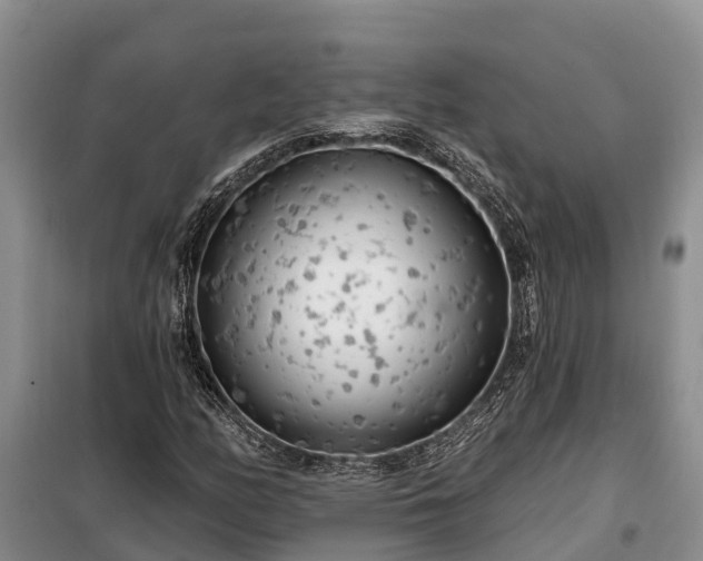 X0000099301158200805090947