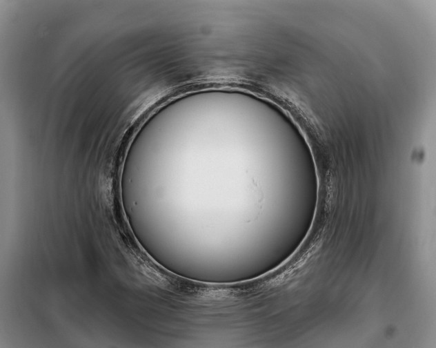 X0000099301162200805090947