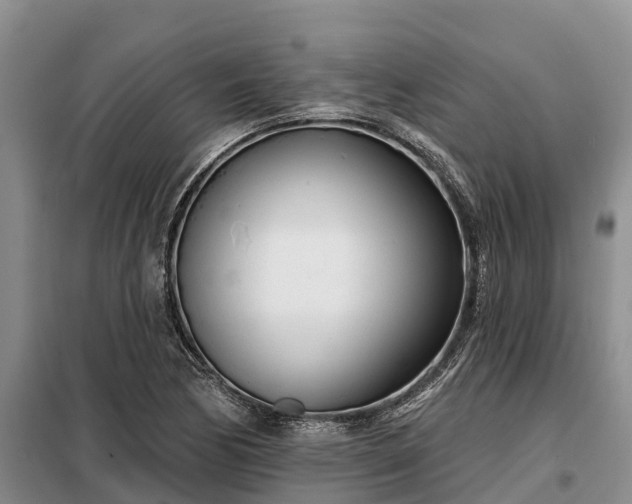 X0000099301170200805090947