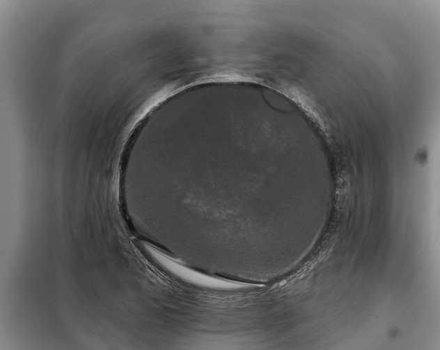 X0000099301173200805090947