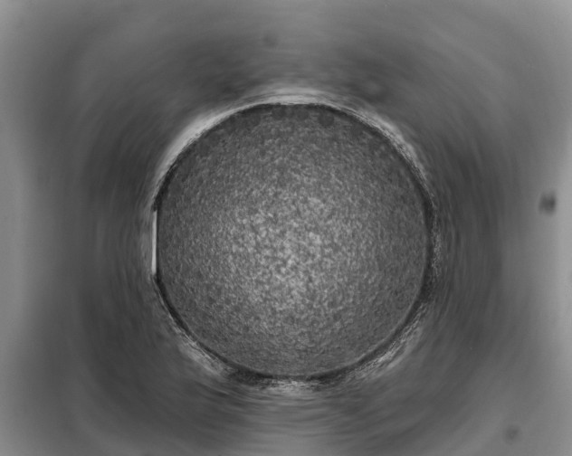 X0000099301175200805090947