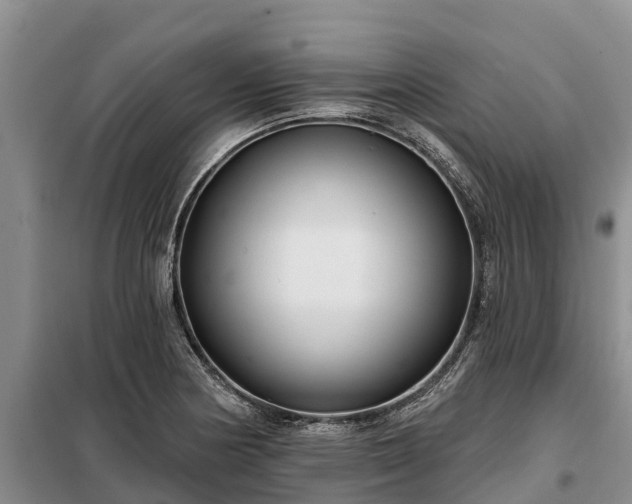 X0000099301178200805090947