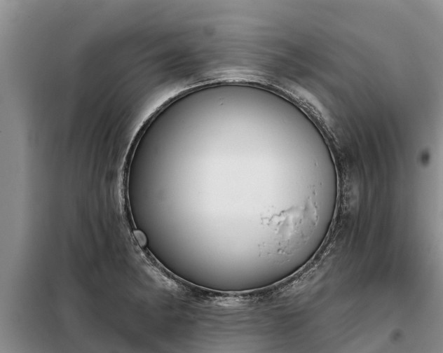 X0000099301182200805090947