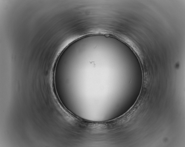 X0000099301187200805090947