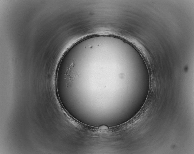 X0000099301191200805090947