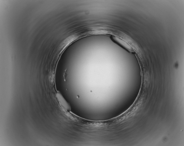 X0000099301193200805090947