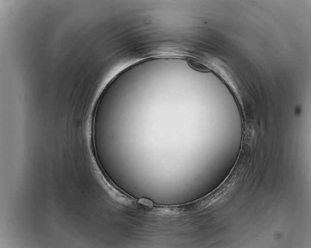 X0000099301195200805090947