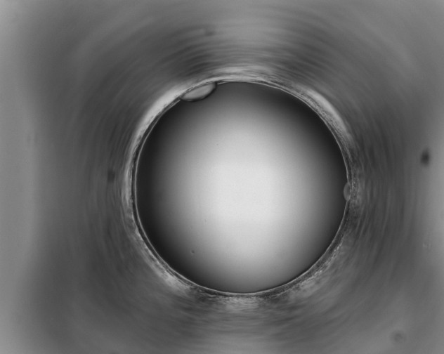 X0000099301196200805090947