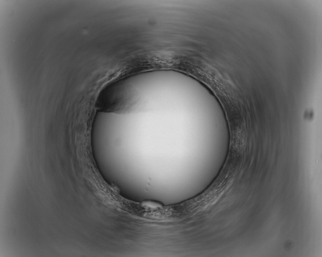 X0000099301201200805090946