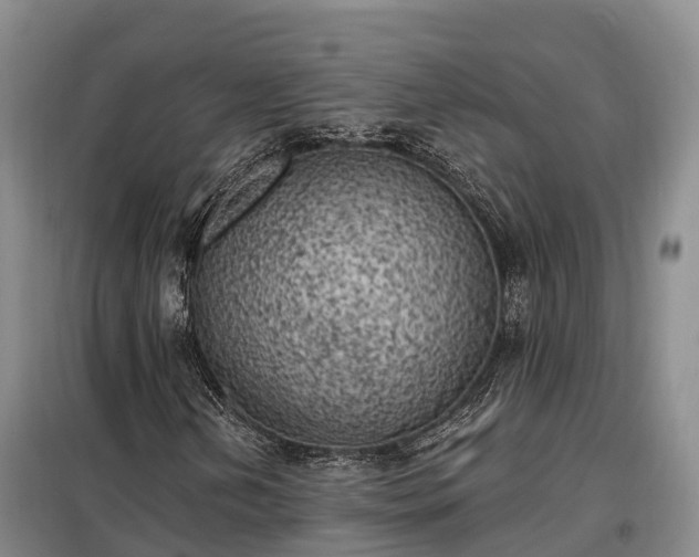 X0000099301202200805090946