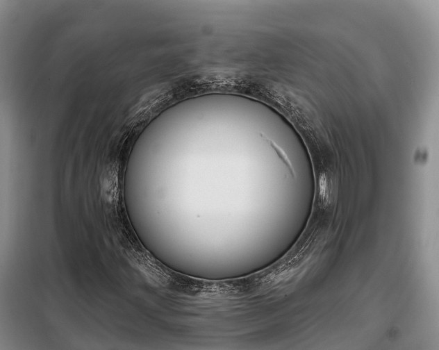 X0000099301203200805090946