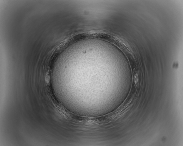 X0000099301204200805090946