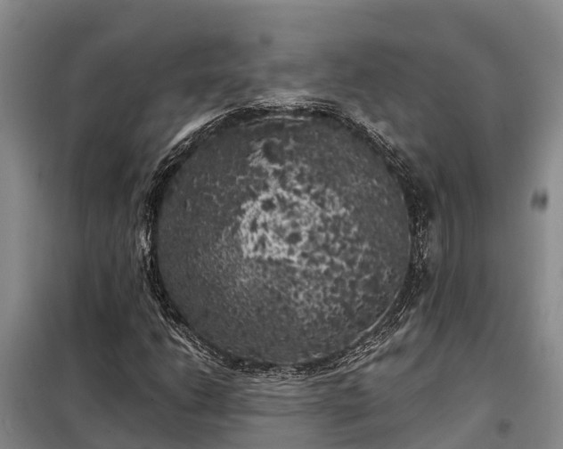 X0000099301206200805090946