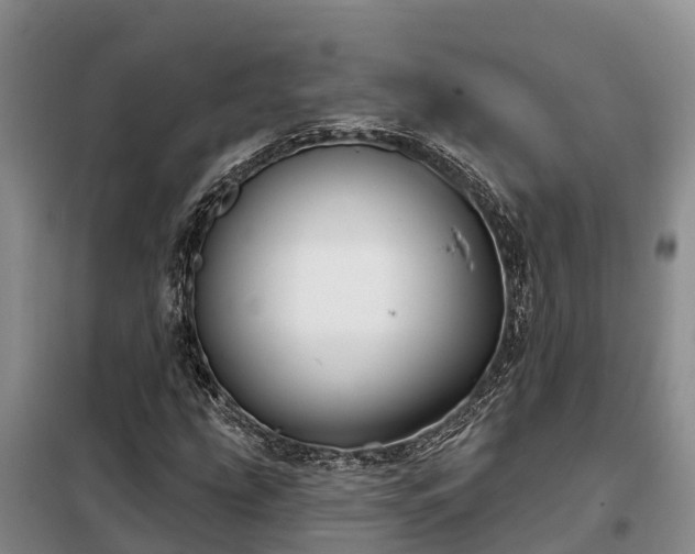 X0000099301207200805090946