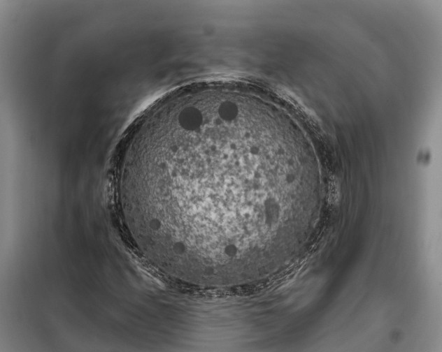 X0000099301208200805090946