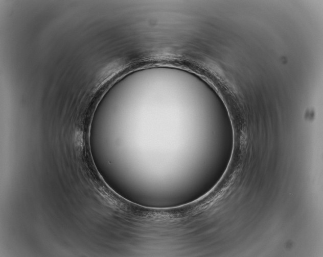 X0000099301209200805090946