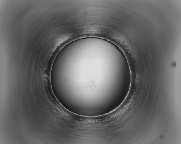 X0000099301210200805090946