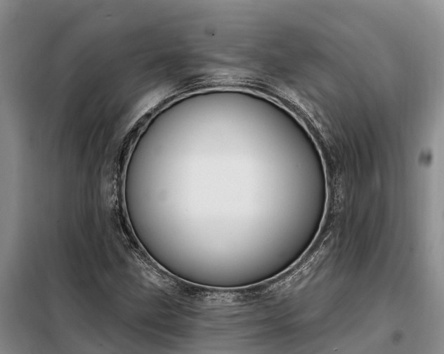 X0000099301211200805090946