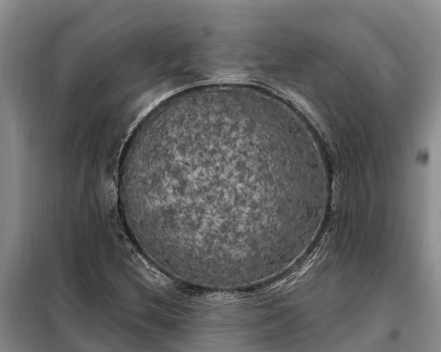 X0000099301212200805090946