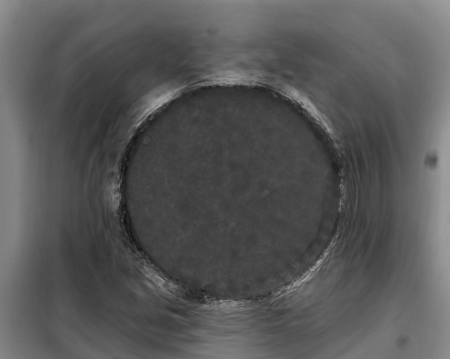 X0000099301213200805090946