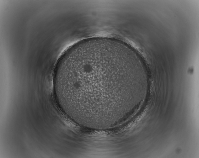 X0000099301214200805090946