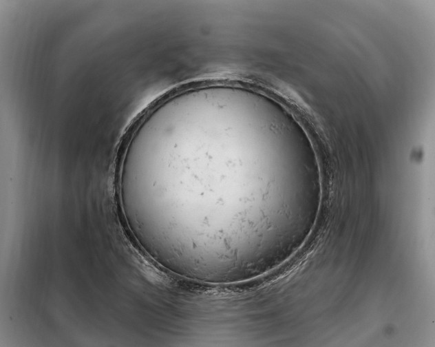 X0000099301216200805090946