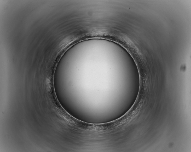 X0000099301217200805090946