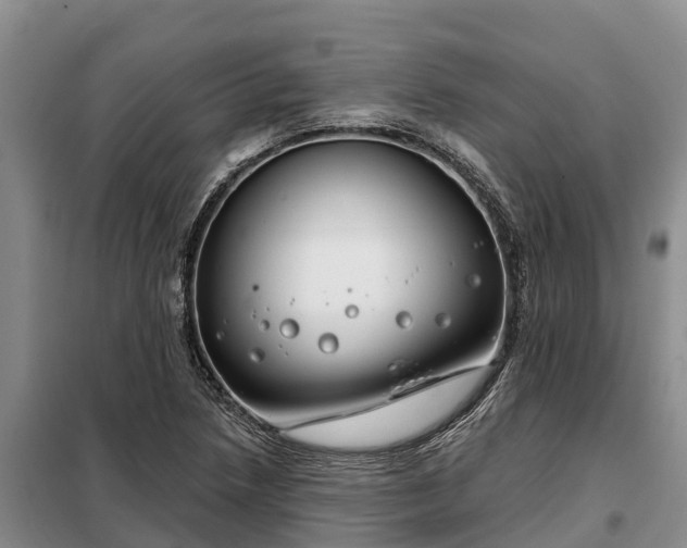 X0000099301218200805090946