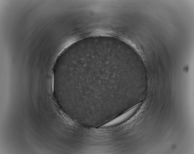 X0000099301219200805090946