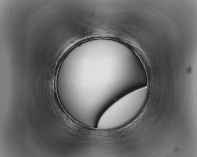 X0000099301220200805090946