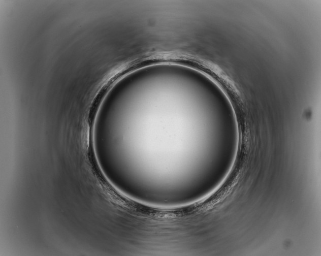 X0000099301221200805090946