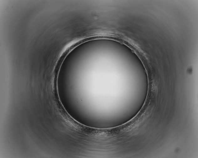 X0000099301222200805090946