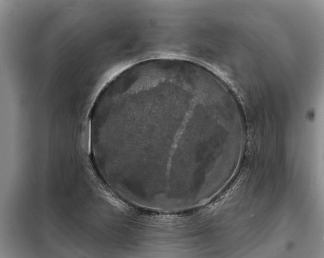 X0000099301223200805090946